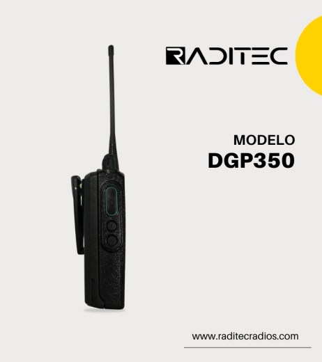 DGP450 (2)4
